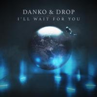 I'll Wait For You