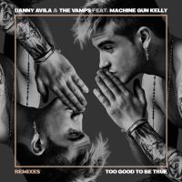 Too Good To Be True (Remixes)