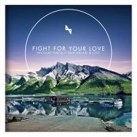 Fight For Your Love