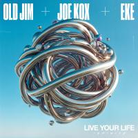 Live Your Life (Infinity)