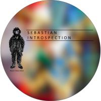 Introspection