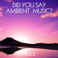 Did You Say Ambient Music Vol. 1