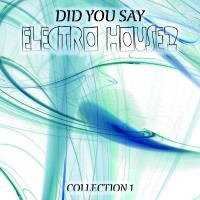 Did You Say Electro House Vol. 1