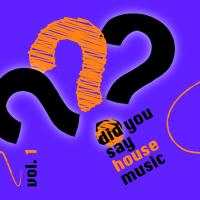 Did You Say House Music Vol. 1