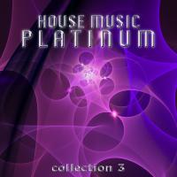 House Music Platinum - Collection 3