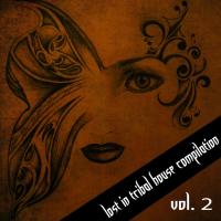 Lost in Tribal House Compilation, Vol. 2