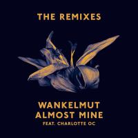 Almost Mine (Remixes)